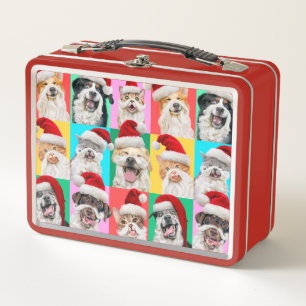 Lunch Box Chiens et chats avec barbe de Père Noël