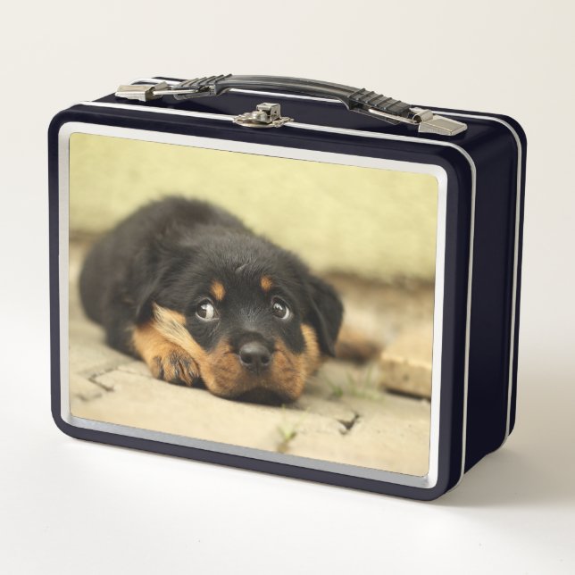 Lunch Box Chiot (Devant)