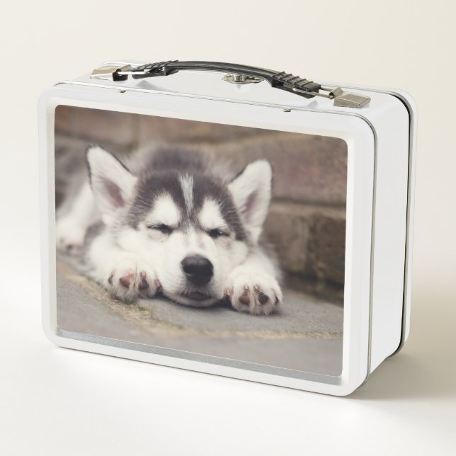 Lunch Box Chuppy Husky Sleeping (Dos)