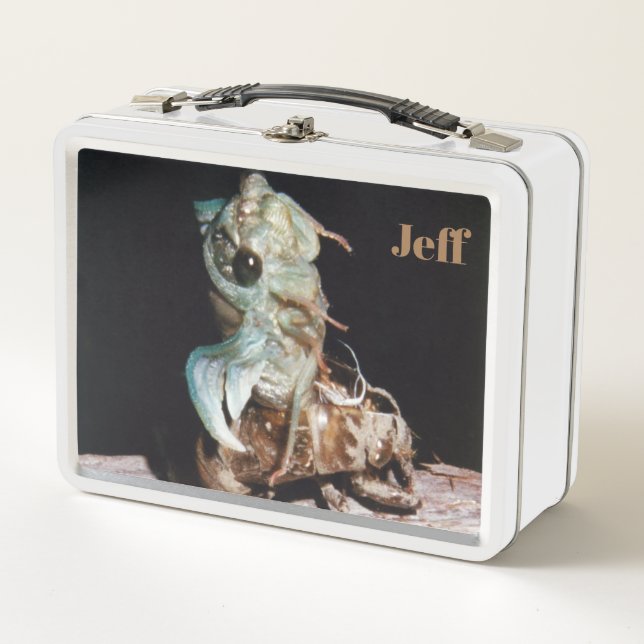 Lunch Box Cicada (Devant)