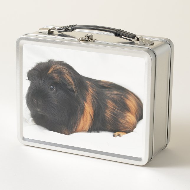 Lunch Box Cochon d'Inde (Devant)