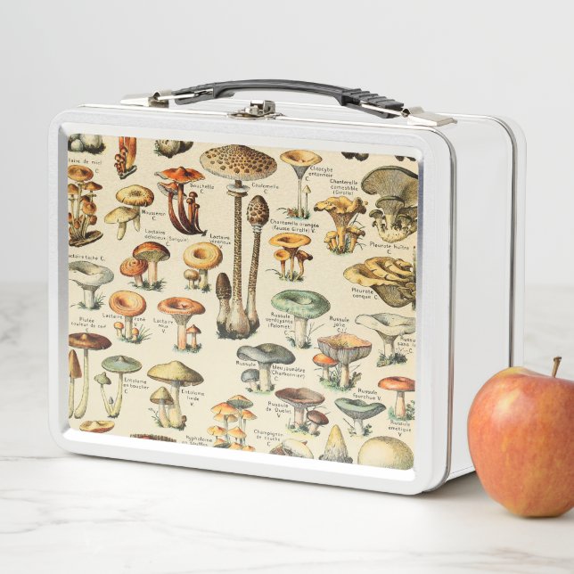Lunch Box Collection de champignons   (En situation)