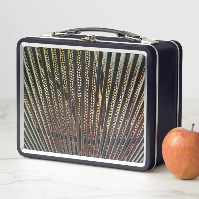 Lunch Box Conception de basket-ball par bandes (En situation)