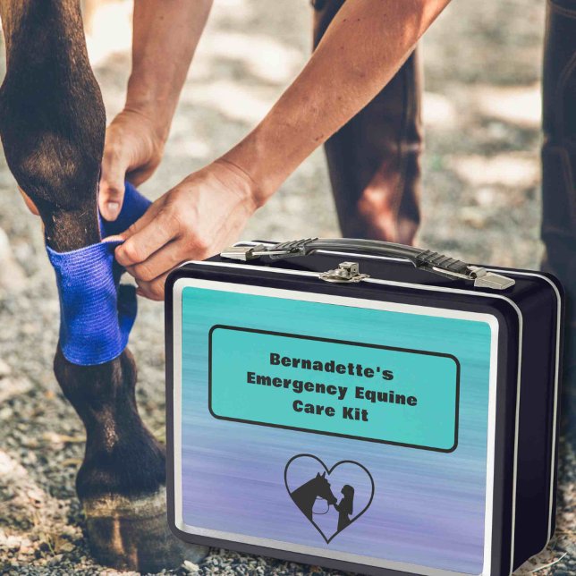 Lunch Box Conteneur d'urgence sur mesure de premiers soins (Créateur téléchargé)