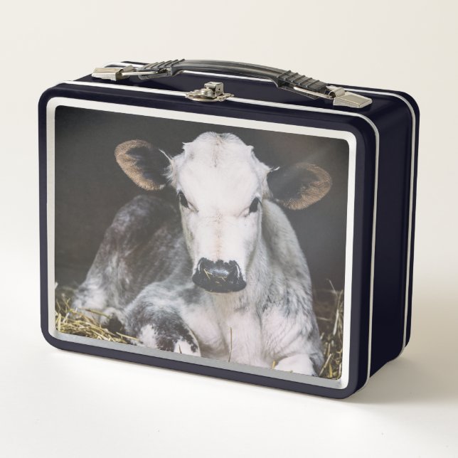 Lunch Box Culture occupée de jour (Devant)