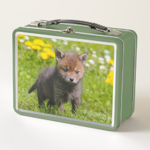 Lunch Box Cute Fluffy Red Fox Kit Cub Wild Baby Animal Photo