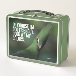 Lunch Box Drôle Curieux Guinée Turaco Oiseau Vert
