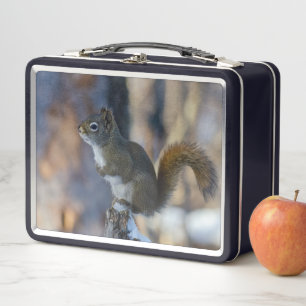 Lunch Box Écureuil d'hiver, animal Brown, photo canadienne