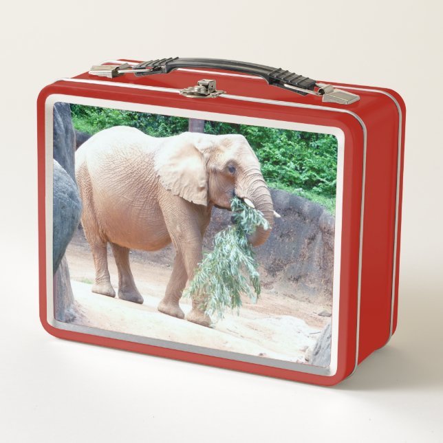 Lunch Box Eléphant (Devant)
