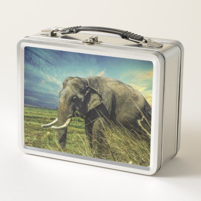 Lunch Box Eléphant (Devant)