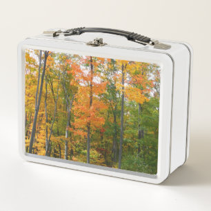 Lunch Box Érables en automne Photographie de la nature