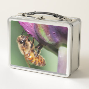 Lunch Box Fallen Fuzzy Little Bee