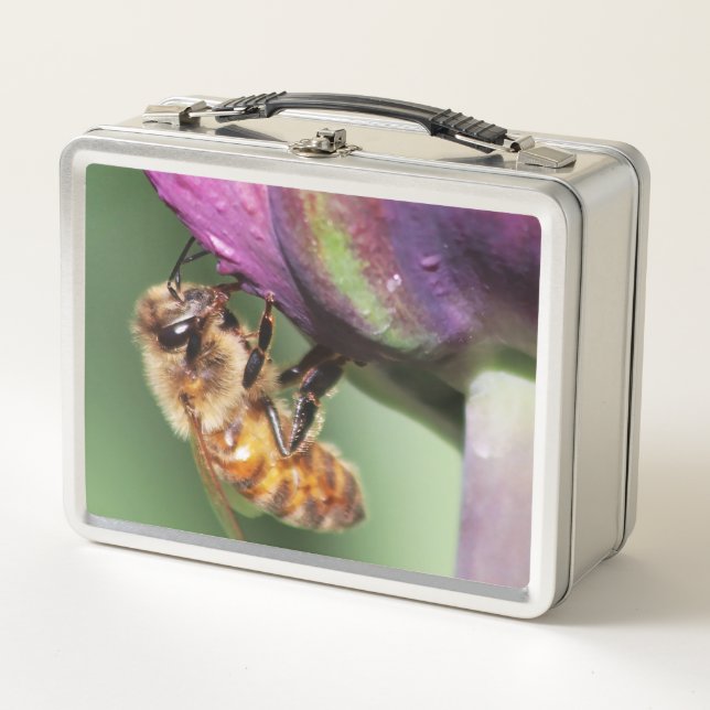 Lunch Box Fallen Fuzzy Little Bee (Devant)