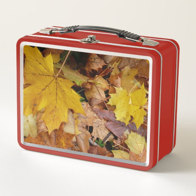 Lunch Box Fallen Maple Feuille Jaune Automne Nature (Devant)