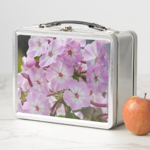 Lunch Box Fleur rose Phlox, Photographie canadienne
