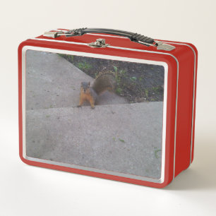 Lunch Box Gamelle d'écureuil