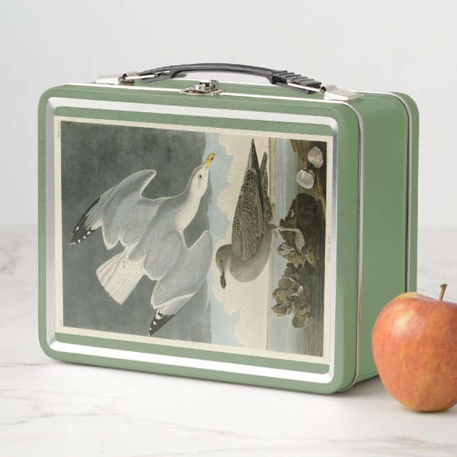 Lunch Box Goéland argenté des oiseaux américains de John Aud (En situation)