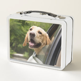 Lunch Box Golden Labrador In Rearview Mirror