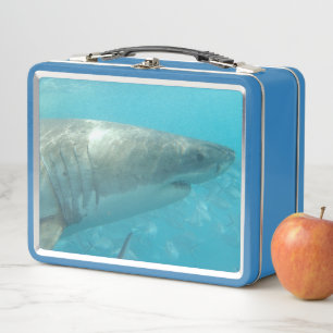 Lunch Box Grand requin blanc gros haut Portrait Mer