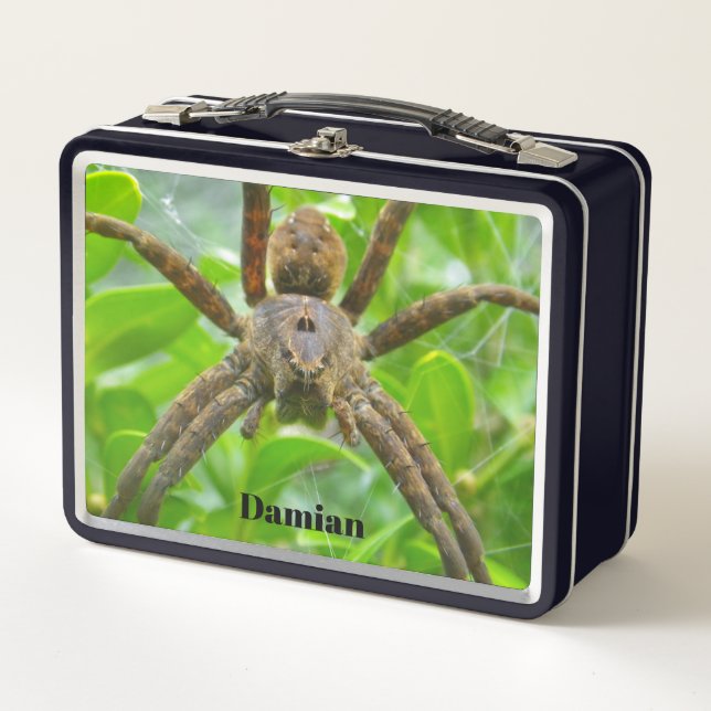 Lunch Box Grande boîte à lunch Brown Spider (Devant)