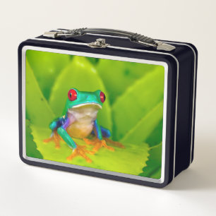 Lunch Box Grenouille aux yeux rouges, Costa Rica