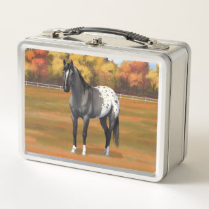Lunch Box Gris Grulla Appaloosa Quartier Horse Stallion