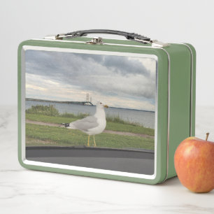 Lunch Box Gull