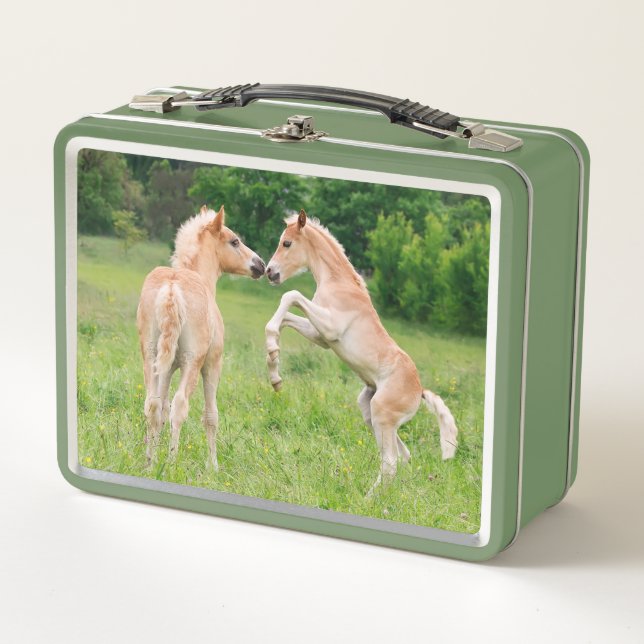 Lunch Box Haflinger Horses Cute Fote Friends Rearing Photo (Devant)