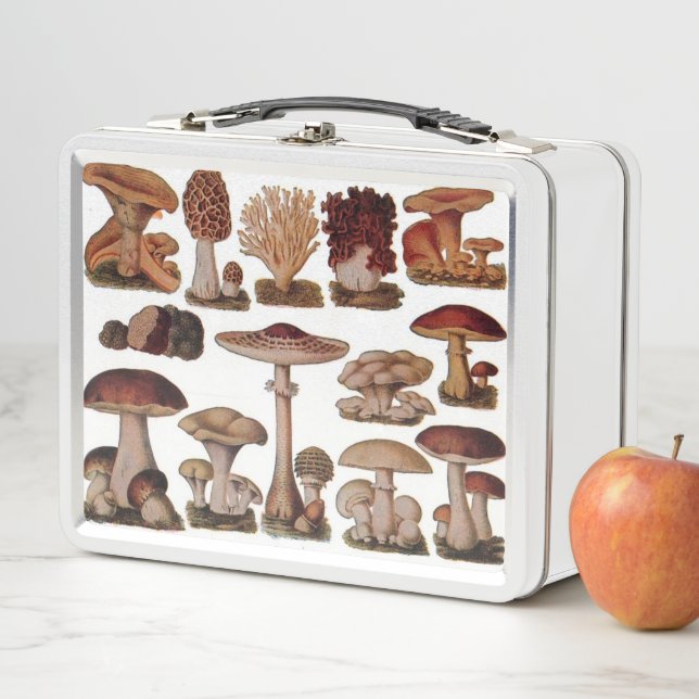 Lunch Box hipster imprimé botanique français champignons vin (En situation)
