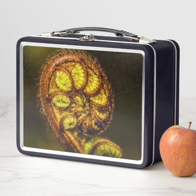 Lunch Box Jeunes Feuilles de Fern (En situation)