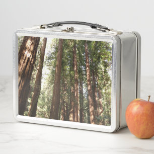 Lunch Box Jusqu'aux séquoias II à Muir Woods National Monume