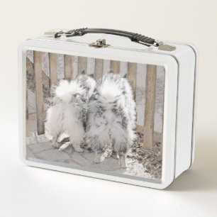 Lunch Box Keeshonds at the Gate Painting - Original Dog Art