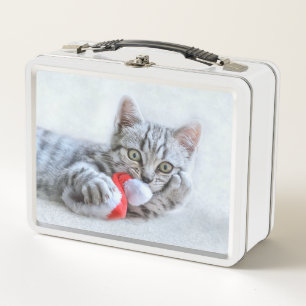 Lunch Box Kitten