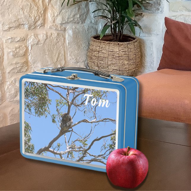 Lunch Box Koala Nap (Créateur téléchargé)