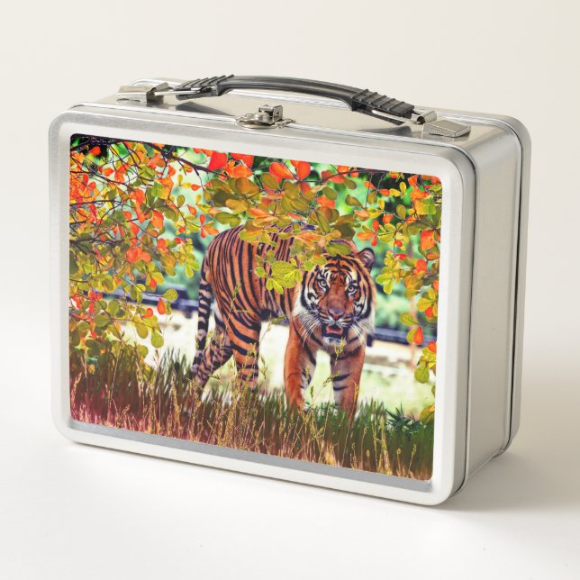 Lunch Box La faune du tigre (Devant)
