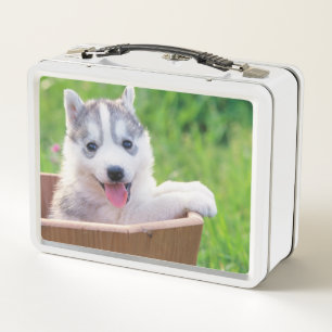 Lunch Box La marionnette sibérienne Husky dans un pot