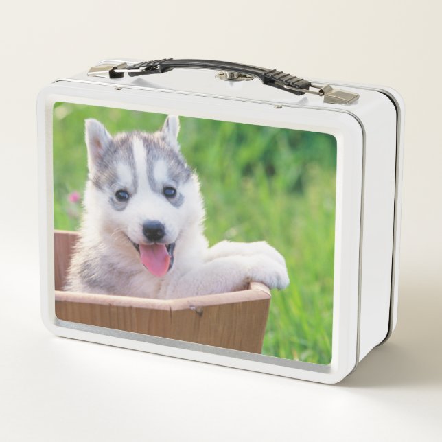Lunch Box La marionnette sibérienne Husky dans un pot (Dos)