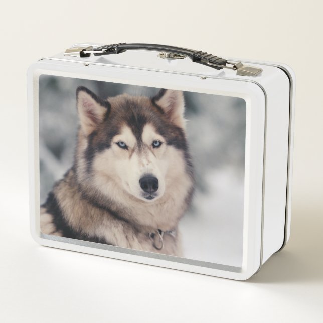 Lunch Box Le magnifique Husky en plein air (Dos)
