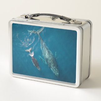 Lunch Box Les baleines
