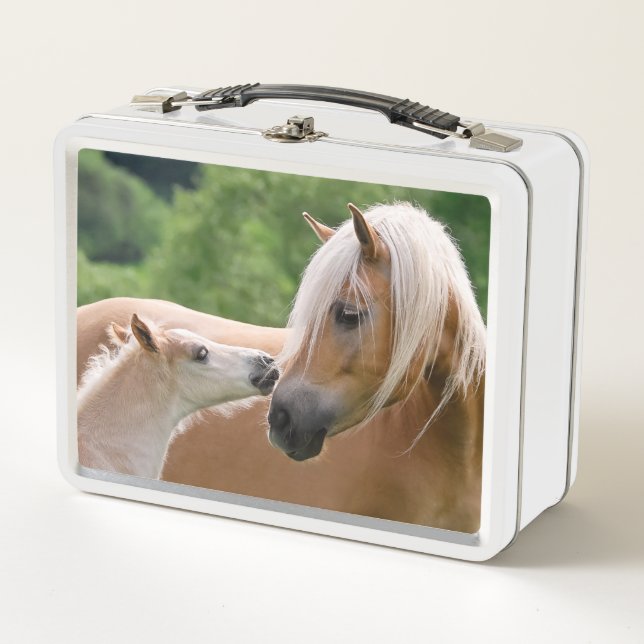 Lunch Box Les chevaux mignons de Haflinger poulinent et le (Devant)