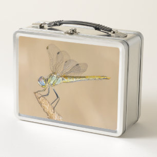 Lunch Box Libellule Skimmer Insecte Femelle (CC BY 4.0)