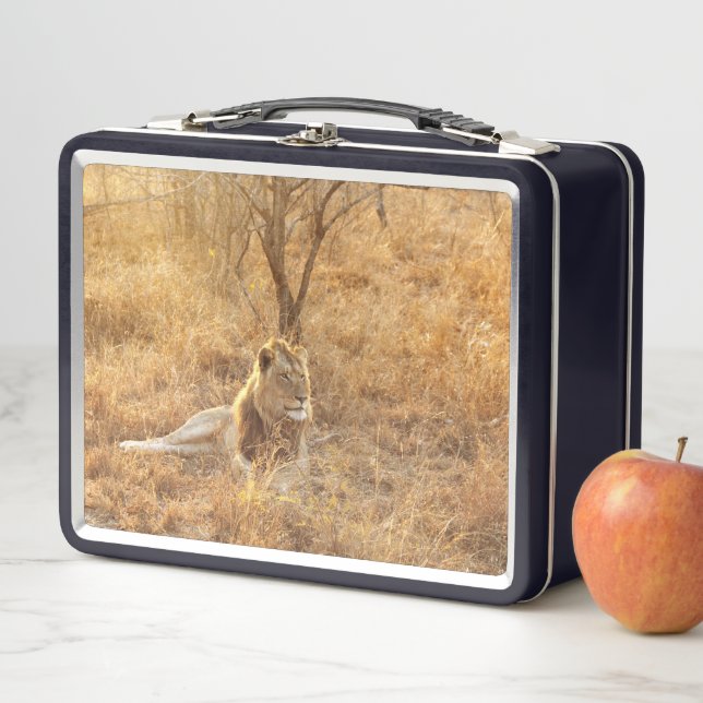 Lunch Box Lion (En situation)