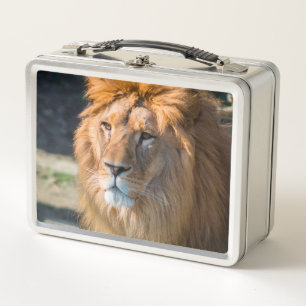 Lunch Box Lion 013