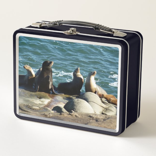 Lunch Box Lions de la mer de San Diego (Devant)