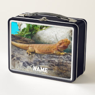 Lunch Box Lizard de dragon à tête adulte