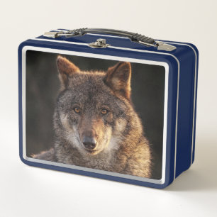 Lunch Box Loup solitaire