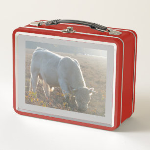 Lunch Box Lunette de vache blanche entourée de soleil