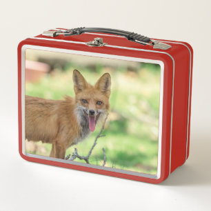 Lunch Box Mama Fox dans la vallée de l'Hudson
