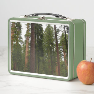 Lunch Box Mariposa Grove dans le parc national de Yosemite