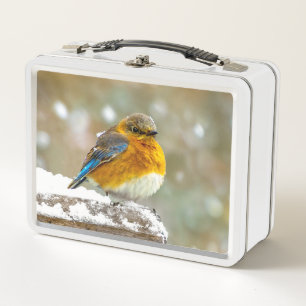 Lunch Box Merlebleu de l'Est dans la Neige - Photographie Or
